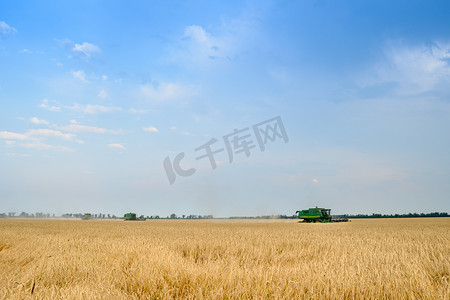 四台联合收割机在蓝天下的田地里收割小麦