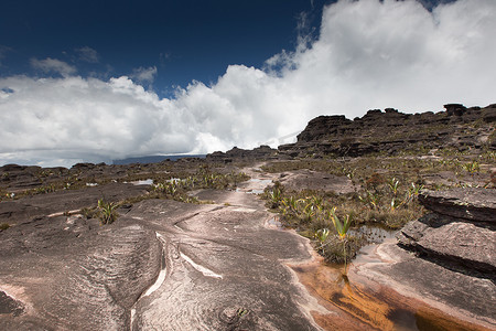 高原 Roraima tepui - 委内瑞拉、拉丁美洲的奇异古老岩石