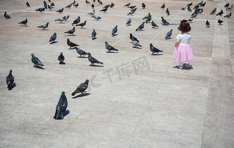 街上饥饿的鸽群中的小女孩