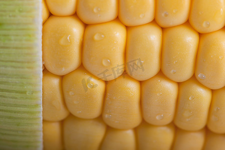 蔬菜落摄影照片_新鲜甜玉米的图案