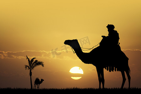 日落时骑骆驼的贝都因人