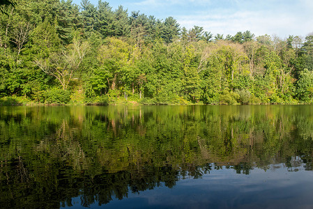 森林湖泊和蓝天的对称反射