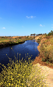 湿地徒步摄影照片_Upper Newport Bay Nature Preserve 远足小径蜿蜒曲折