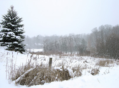 飘雪