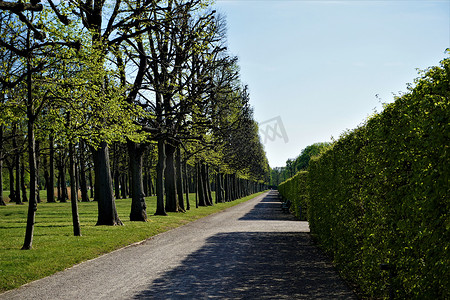 汉诺威赫伦豪森花园大花园的小巷、小路和树篱