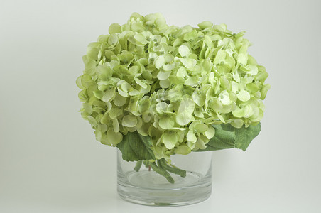 花瓶中的假绿色绣球花