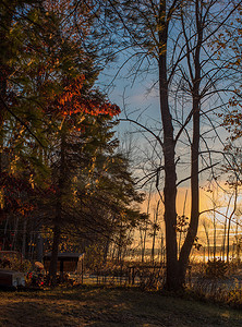 树从摄影照片_日出穿过秋天的树木，从湖上的后院。