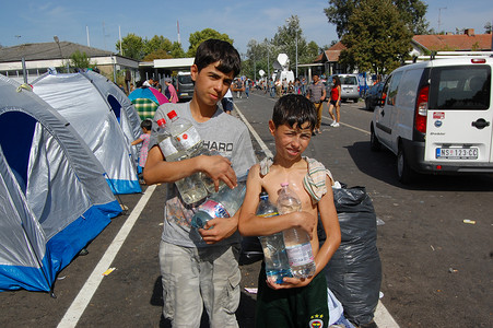 塞尔维亚 - 难民 - 塞尔维亚-匈牙利边境的移民