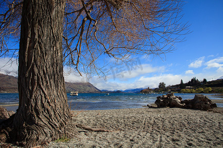 瓦纳卡摄影照片_新西兰南岛瓦纳卡湖美丽的风景我