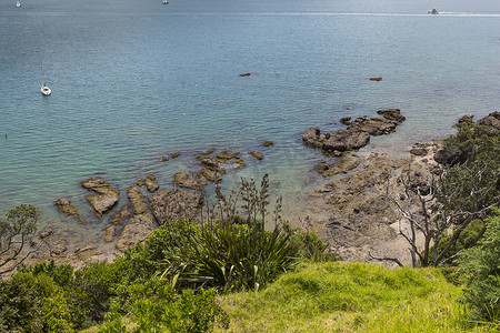 新西兰岛屿湾派希亚附近罗素的风景