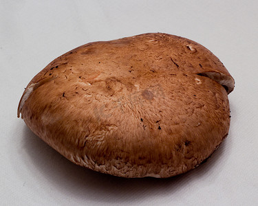 贝拉摄影照片_波塔贝拉蘑菇