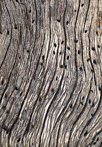 抽象开裂的木头