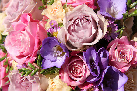 紫色非洲菊摄影照片_粉红色和紫色的婚礼花束