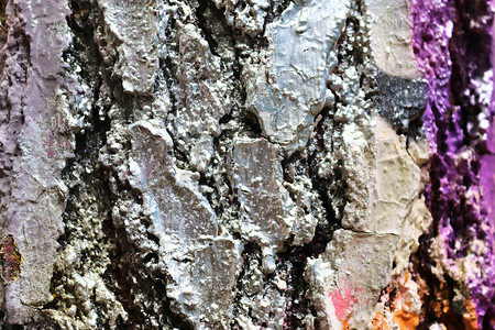 用涂鸦 pai 喷洒的彩色树皮的特写表面