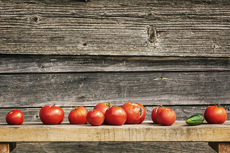 吐鲁番西红柿摄影照片_长凳上的一排西红柿