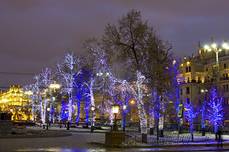 莫斯科，圣诞灯饰中的树木