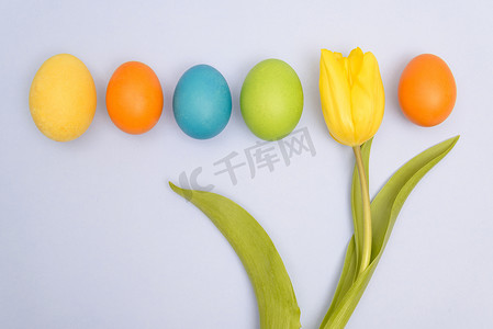 五颜六色的复活节彩蛋反对制服 backgr 的搞笑照片