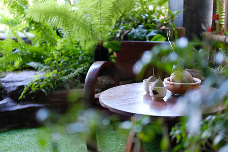 盆栽植物装饰在花园的桌子上