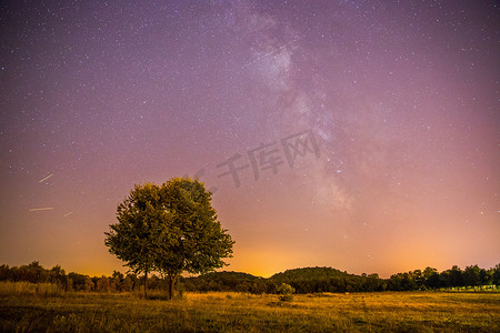 夜晚和星星景观：夜晚清澈的银河，孤独的田野和树木