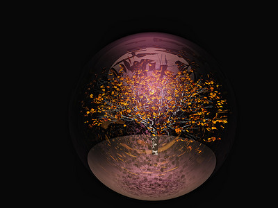 圆球树叶摄影照片_生物圈