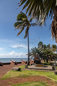 Reuinion 岛圣丹尼斯海滨的老炮和棕榈树