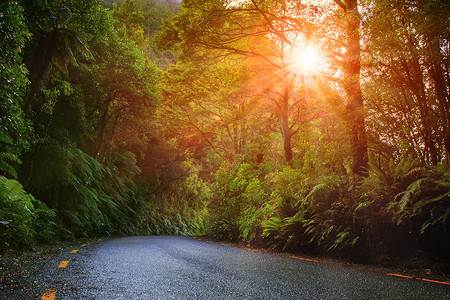 新西兰米尔福德峡湾国家公园的太阳升起