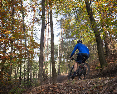 荷兰泽斯特附近秋季森林小径上骑山地自行车的男子