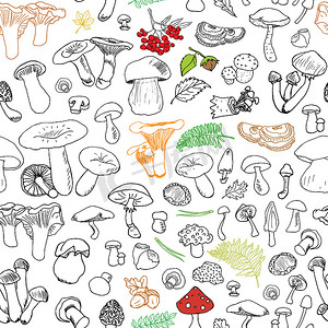 手绘棕色摄影照片_蘑菇手绘草图无缝模式。