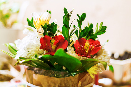 星兰花摄影照片_玫瑰、兰花和印加百合五颜六色的浪漫花束