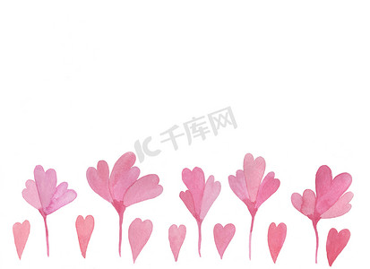 手绘粉色花朵背景摄影照片_手绘水彩花朵和孤立在白色背景上的心。