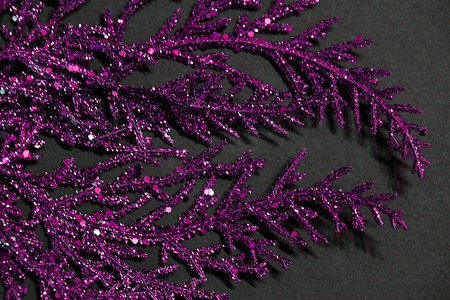 黑色背景上的紫罗兰色闪闪发光的树枝，适合圣诞节空白