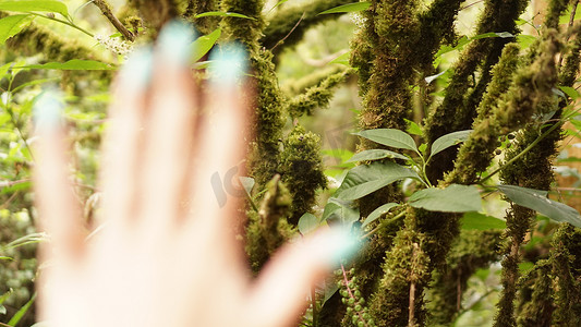 关闭探险家女性手在绿色森林里。