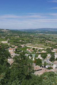 薰衣草热气球摄影照片_vaucluse、roussillon 和 bonnieux 村位于葡萄园之间