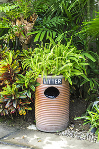 陶制杯具摄影照片_带绿色植物的陶制垃圾桶