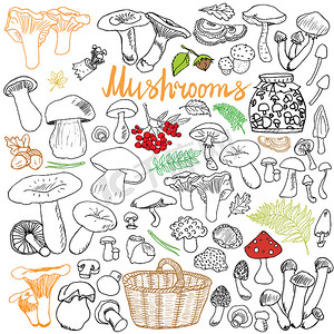 手绘清新秋摄影照片_蘑菇素描涂鸦手绘集。