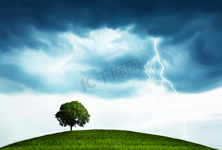 720暴雨摄影照片_风暴和树