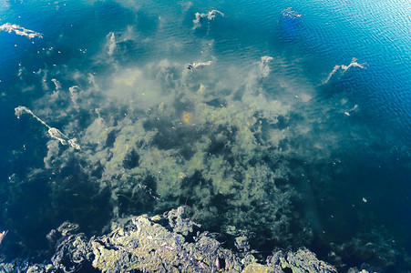 分层场景摄影照片_深蓝海海底背景。