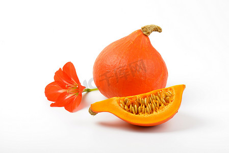 橙色南瓜和芙蓉花