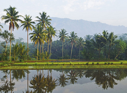 完美世界荒天帝摄影照片_东帝汶美丽的图片