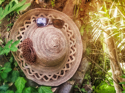 大多数妇女的帽子和太阳镜以树木为背景。