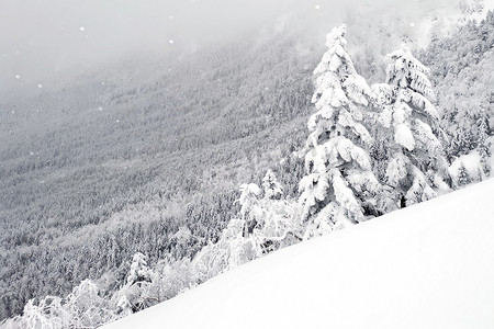 魏轻和岳山摄影照片_日本八岳山的天然雪山和树木