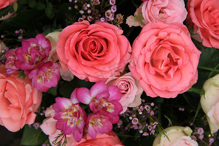 粉红玫瑰和小苍兰新娘花