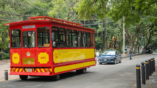 科约阿坎街道上的红色和黄色电车