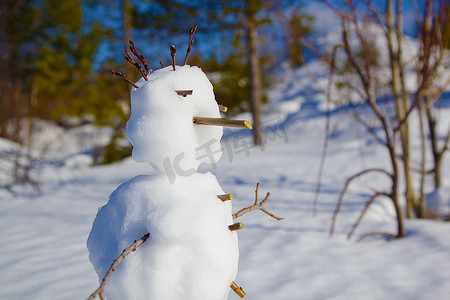 一个雪人的肖像