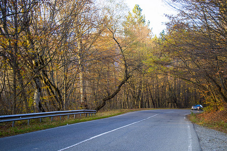 格鲁吉亚空荡荡的公路和道路、秋树和植物以及蓝天