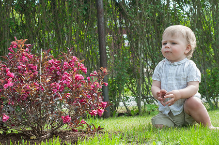 在桃红色灌木附近的小男婴
