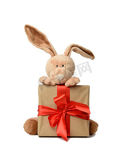 可爱的毛绒兔子拿着用红丝带绑着的礼盒