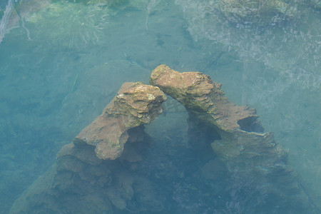 大石头在清澈的水中