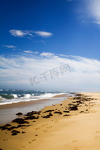 大海海草摄影照片_沙滩上的小路上到处都是海草