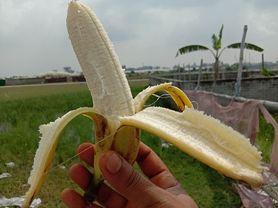 美味健康的膨胀香蕉特写